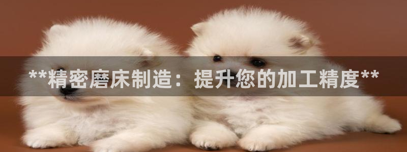 彩神Vll购彩大厅：**精密磨床制造：提升您的加工精度**