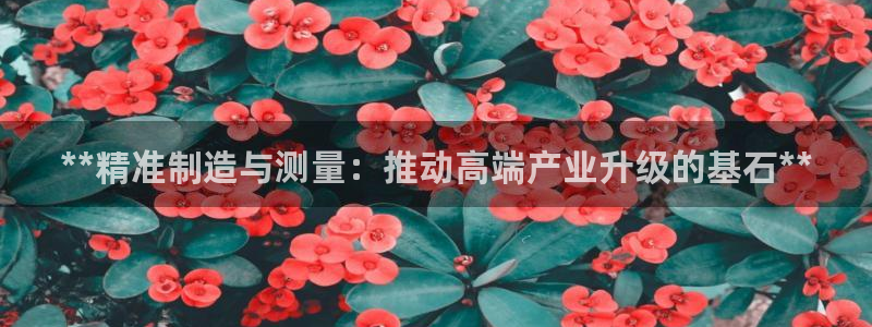 彩神客服电话：**精准制造与测量：推动高端产业升级的基石**