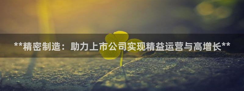 彩神大发是不是人为操作：**精密制造：助力上市公司实现精益运营与高增长**
