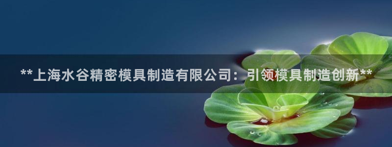 彩神v8平台正规吗可靠吗：**上海水谷精密模具制造有限公司：引领模具制造创新**
