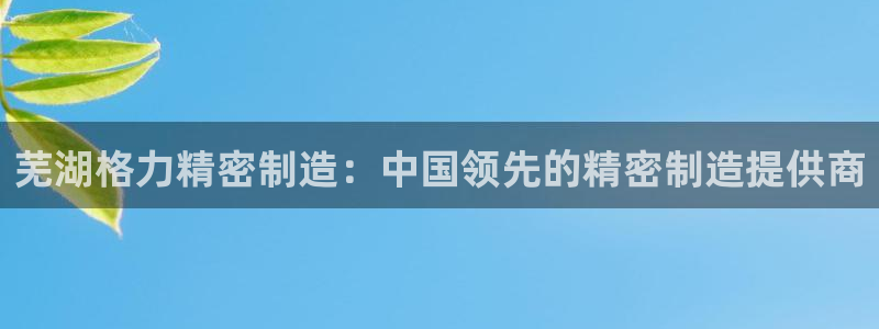 彩神邀请码:00-00-3267：芜湖格力精密制造：中国领先的精密制造提供商