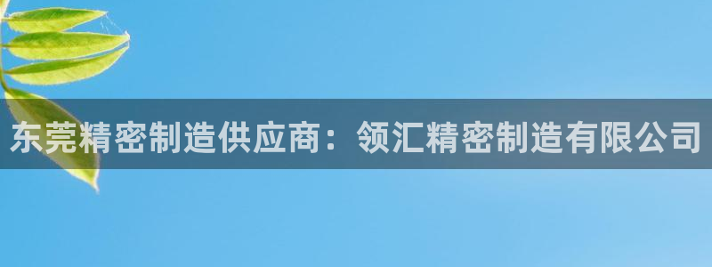 彩神官方网站登录是多少：东莞精密制造供应商：领汇精密制造有限公司