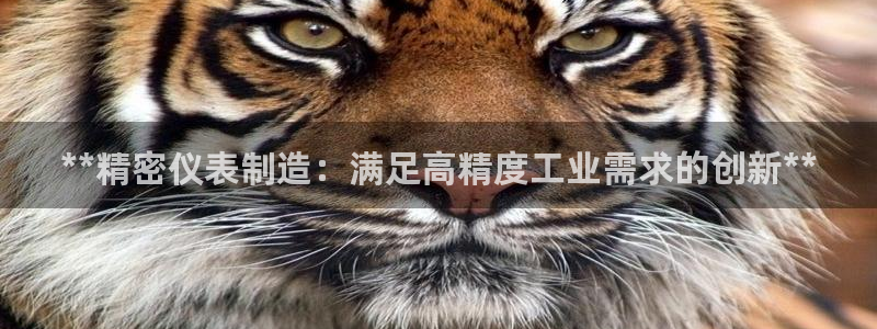 彩神v8购彩大厅登