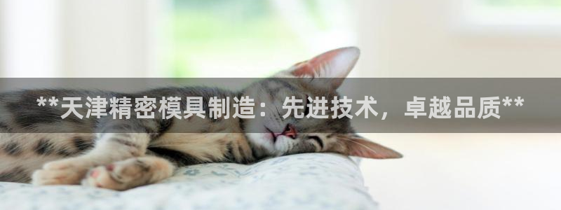 彩神是正规平台吗安全吗