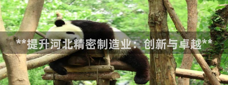 彩神v8手机客户端怎么下载