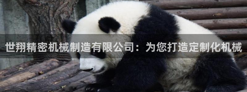 彩神平台可以破解吗