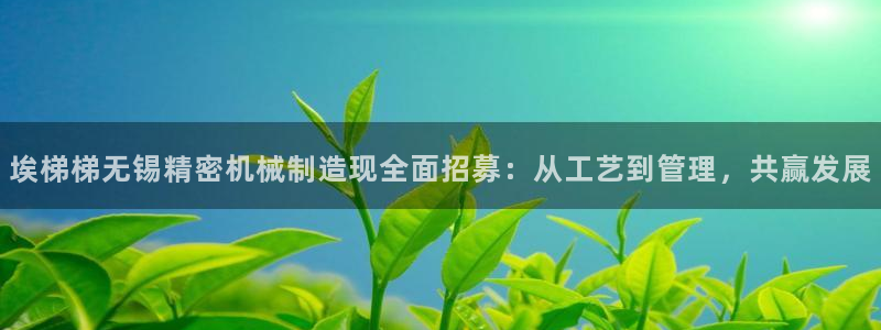 彩神网合法吗