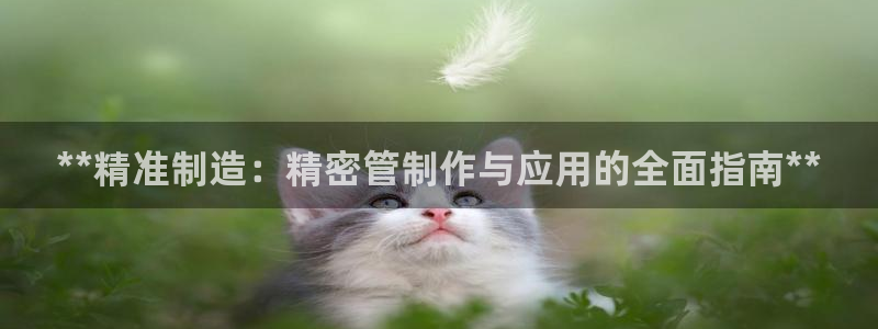 彩神官方登录：**精准制造：精密管制作与应用的全面指南**