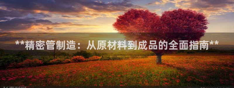 新版彩神v8登录不上去