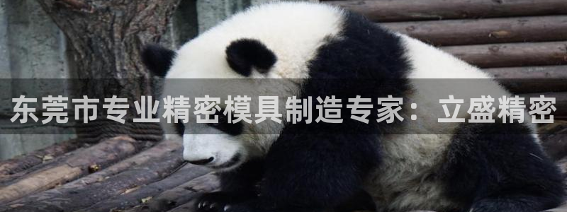 彩神官方登录