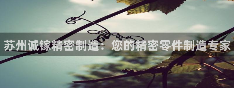 彩神ix官网是哪个公司的