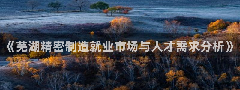 彩神vⅲ下载安装