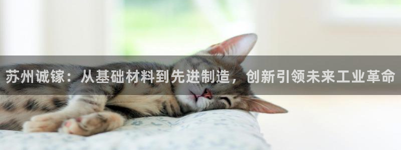 彩神vlll游戏特色