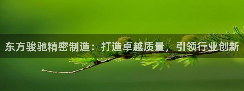 彩神v8首页：东方骏驰精密制造：打造卓越质量，引领行业创新