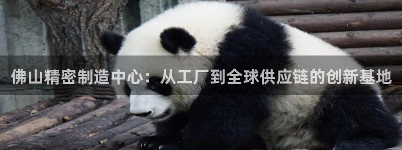 彩神vlll官方网