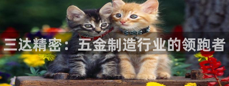 彩神ios下载：三达