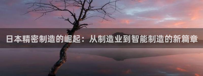彩神vip购彩大厅在哪：日本精密制造的崛起：从制造业到智能制造的新篇章