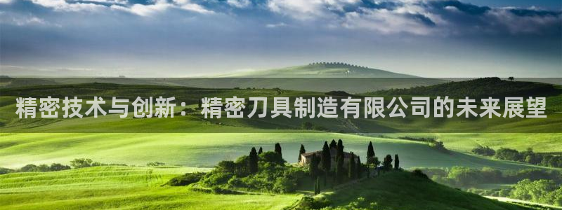彩神8官网500：精密技术与创新：精密刀具制造有限公司的未来展望