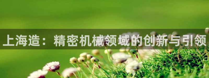 彩神8是正规平台吗是正品吗：上海造：精密机械领域的创新与引领