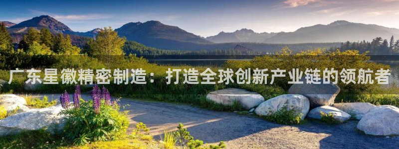 彩神v8客户端：广东星徽精密制造：打造全球创新产业链的领航者