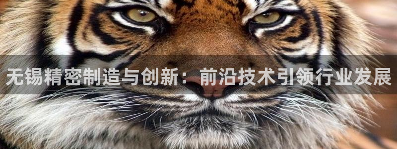 彩神vll官网在线登录：无锡精密制造与创新：前沿技术引领行业发展