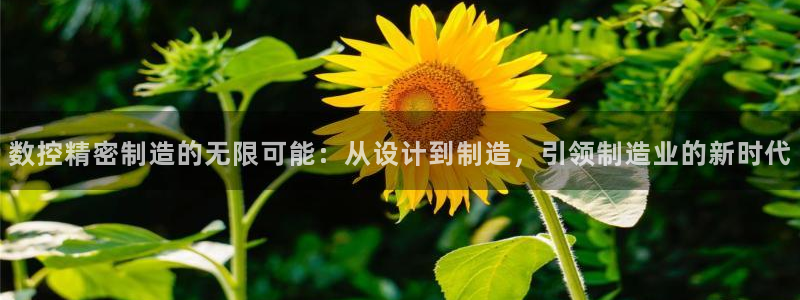 彩神新微聊：数控精密制造的无限可能：从设计到制造，引领制造业的新时代