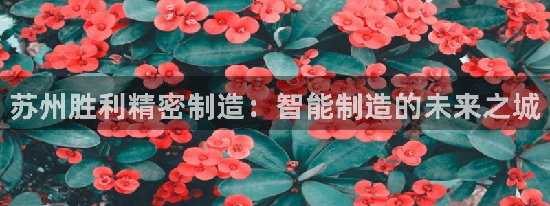 彩神通关注码金码对应码：苏州胜利精密制造：智能制造的未来之城