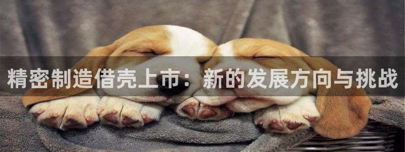 v彩神88iii：精密制造借壳上市：新的发展方向与挑战