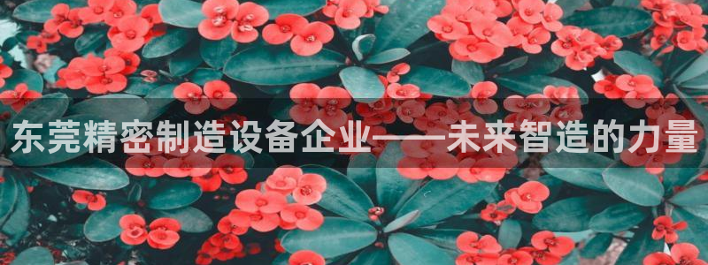 彩神邀请码:00-0