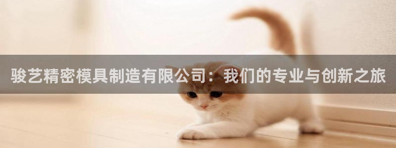 彩神v8是一个什么平台啊：骏艺精密模具制造有限公司：我们的专业与创新之旅