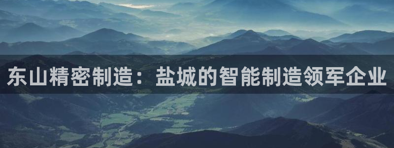 彩神通官网下载：东山精密制造：盐城的智能制造领军企业