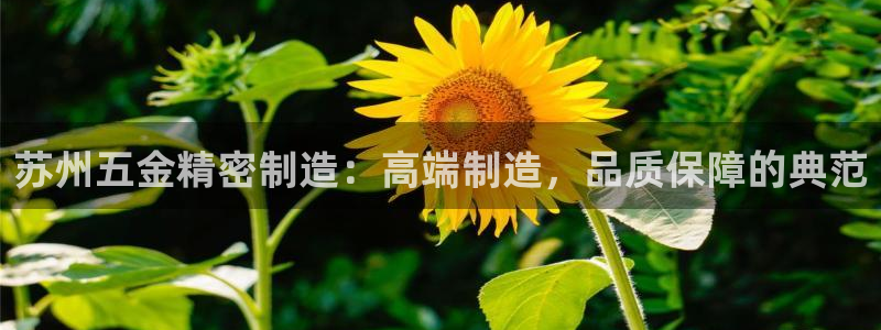 彩神通官网下载：苏州五金精密制造：高端制造，品质保障的典范