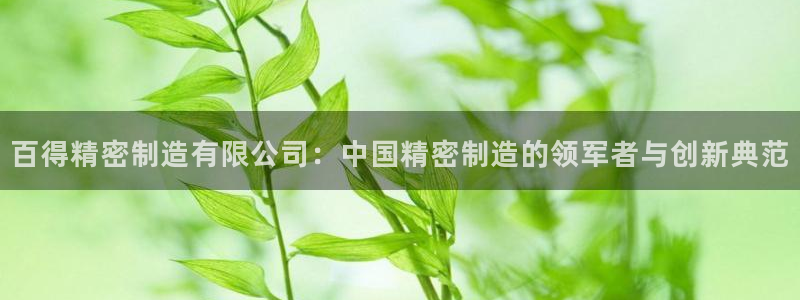 彩神v8下载网址：百得精密制造有限公司：中国精密制造的领军者与创新典范