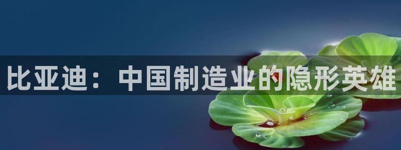 彩神大发黑平台：比亚迪：中国制造业的隐形英雄
