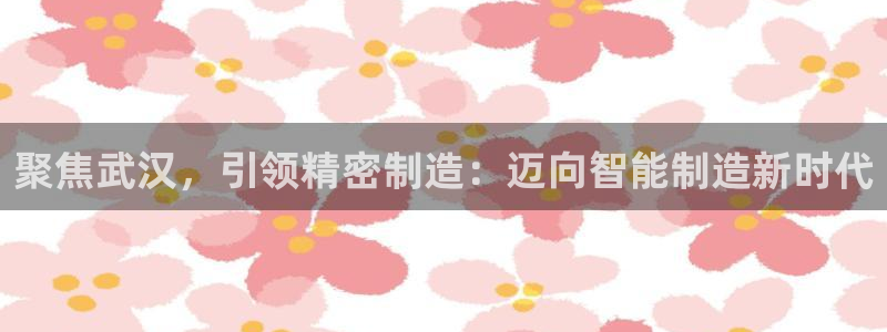 彩神vll首页：聚焦武汉，引领精密制造：迈向智能制造新时代