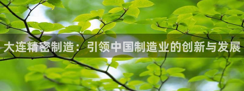 彩神VI首页