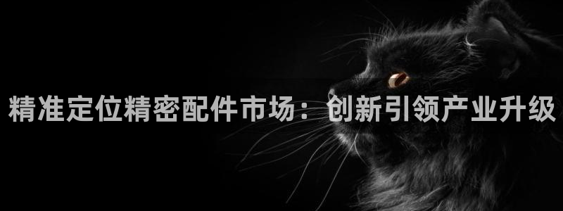 下载彩神乐发V1：精
