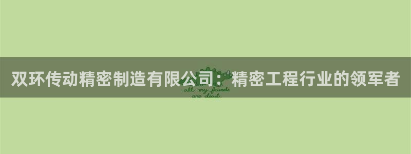 彩神v8有多久了?靠谱吗：双环传动精密制造有限公司：精密工程行业的领军者