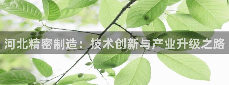 彩神ix平台：河北精密制造：技术创新与产业升级之路