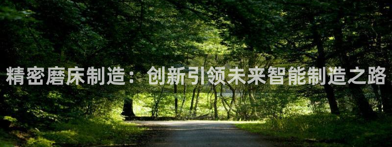 彩神8官网合法吗：精密磨床制造：创新引领未来智能制造之路