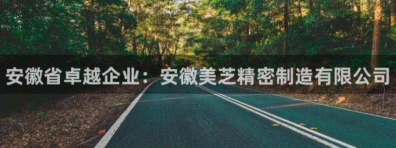 彩神赢了钱登录不上去：安徽省卓越企业：安徽美芝精密制造有限公司