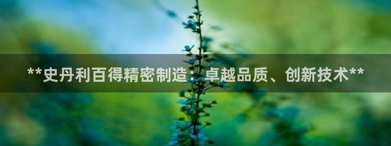 彩神vii官网大赢家：**史丹利百得精密制造：卓越品质、创新技术**