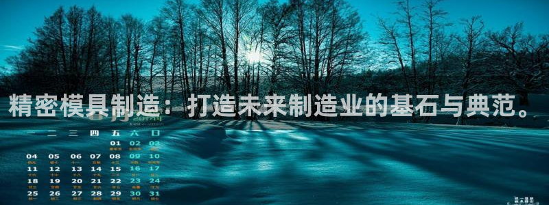 彩神iv真的能赚钱吗：精密模具制造：打造未来制造业的基石与典范。