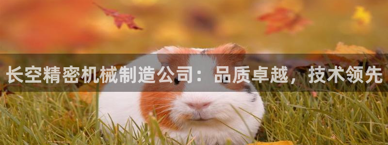 彩神V集团有限公司：长空精密机械制造公司：品质卓越，技术领先