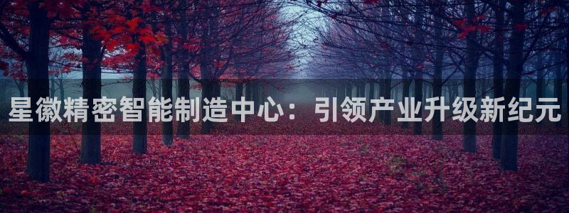 彩神购彩-购彩大厅入口计划群：星徽精密智能制造中心：引领产业升级新纪元