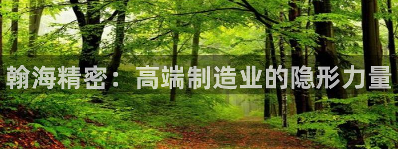 彩神可以提现吗：翰海精密：高端制造业的隐形力量