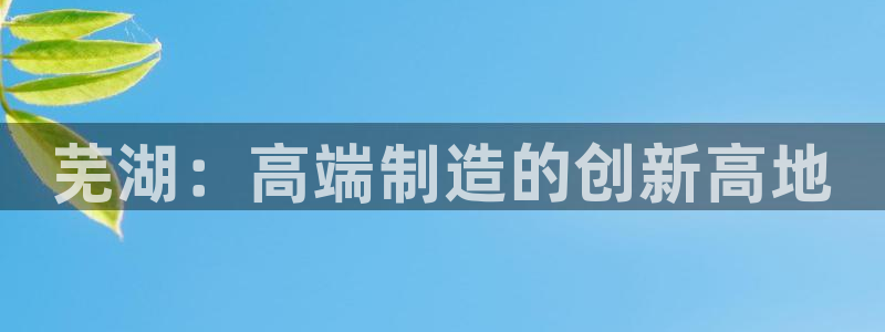 彩神网合法吗：芜湖：高端制造的创新高地