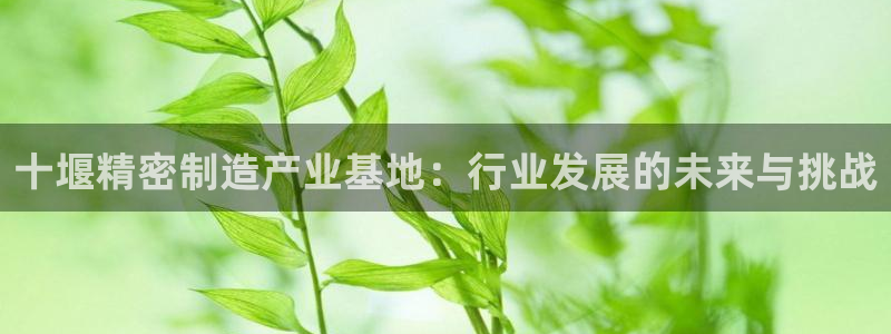彩神通关注码金码对应码：十堰精密制造产业基地：行业发展的未来与挑战