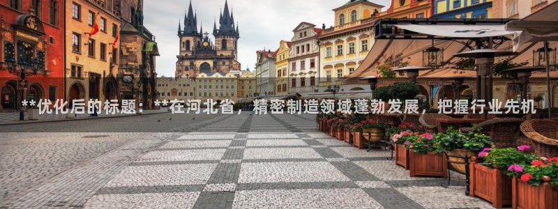 彩神购彩-购彩大厅入口下载：**优化后的标题：**在河北省，精密制造领域蓬勃发展，把握行业先机