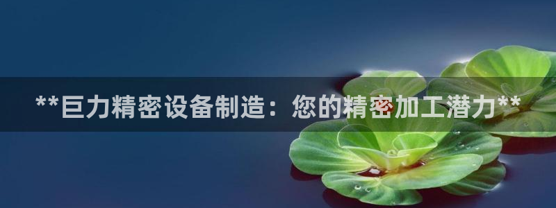 新版彩神v8登录不了：**巨力精密设备制造：您的精密加工潜力**